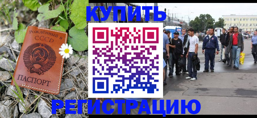 прописка гарантия в Звенигово